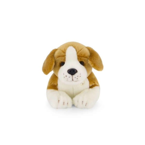 Snuggle Bunnies - Brooklyn The Beagle - Image 4